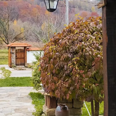 Къща За Гости Младата Баба Holiday home Apriltsi (Lovech)
