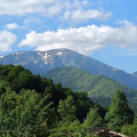 Holiday home Къща За Гости Младата Баба